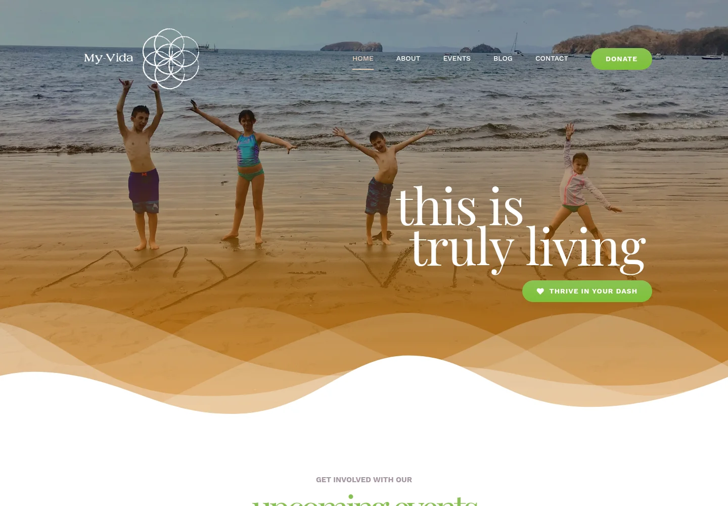 Homepage of My-Vida